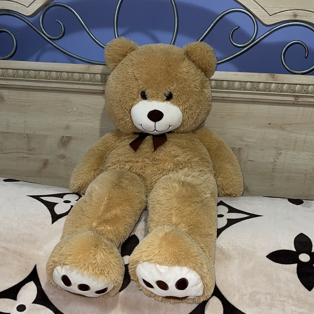 Big Teddy Bear